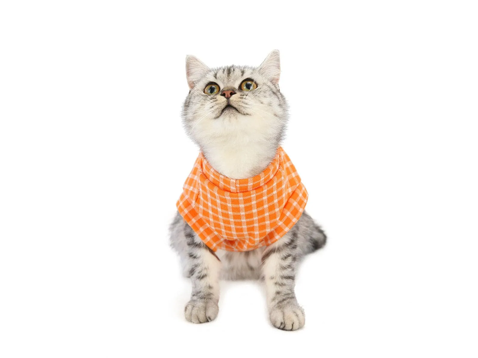 Cat Clothes Type 18