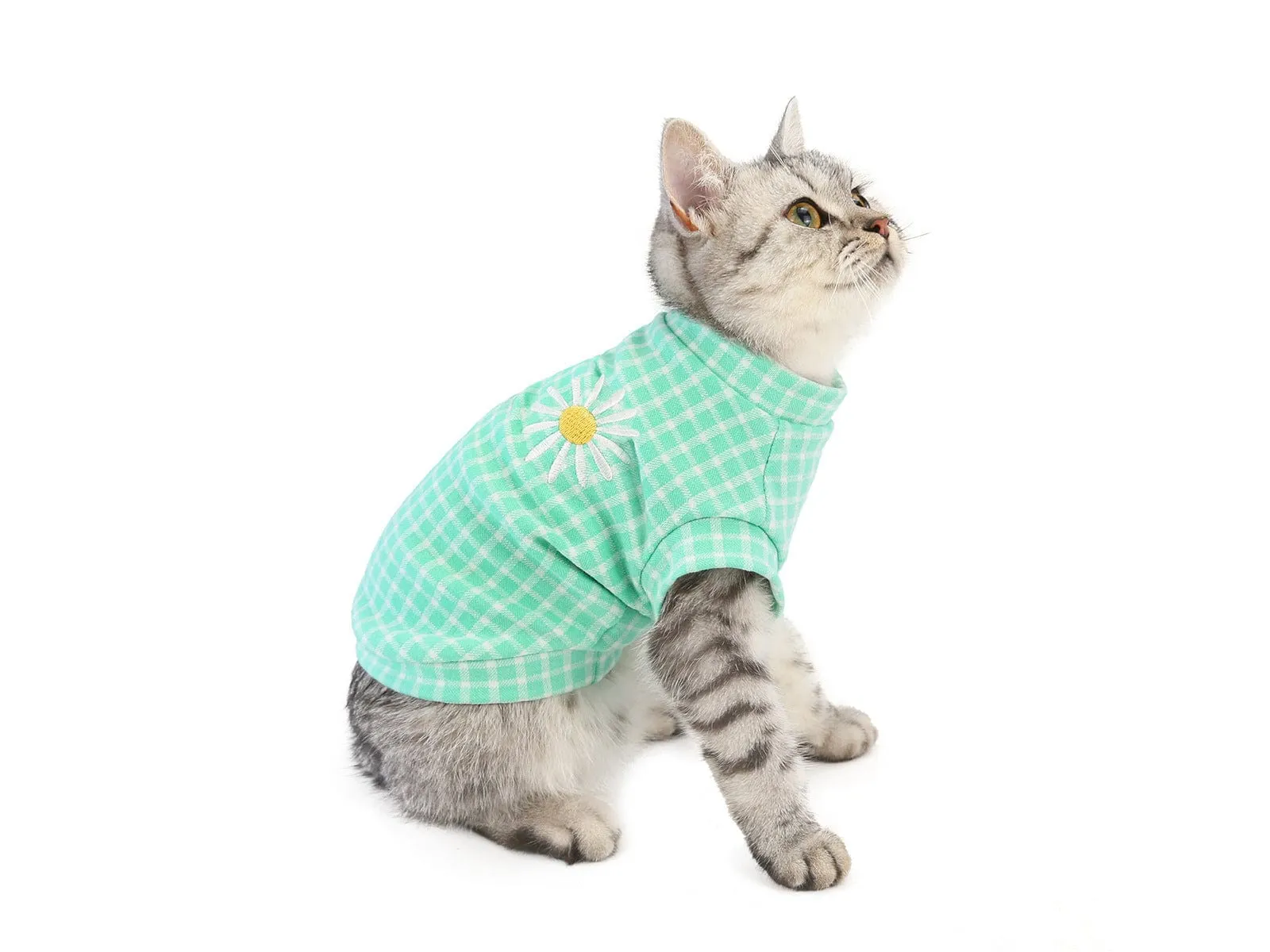 Cat Clothes Type 18